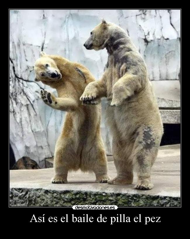 carteles dfsv desmotivaciones