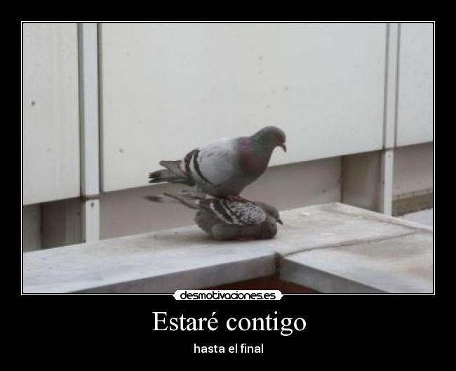 Estaré contigo - hasta el final