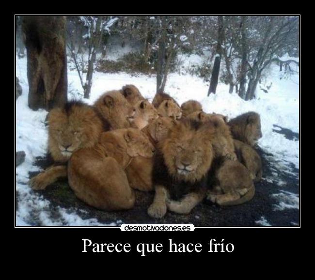 carteles  desmotivaciones