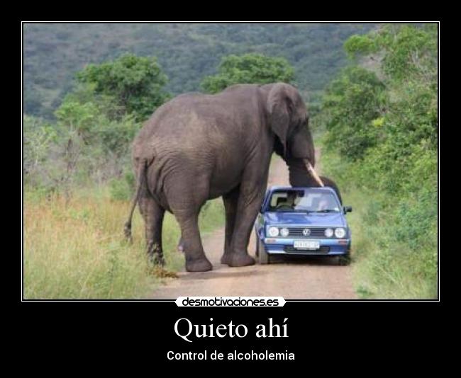 Quieto ahí - Control de alcoholemia