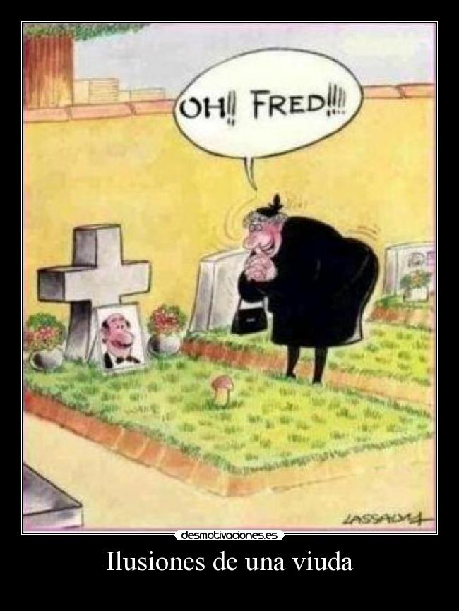 Ilusiones de una viuda - 