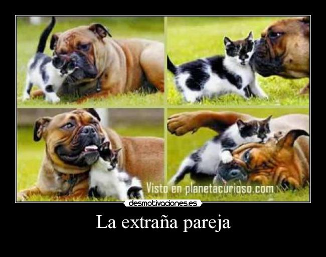 La extraña pareja -