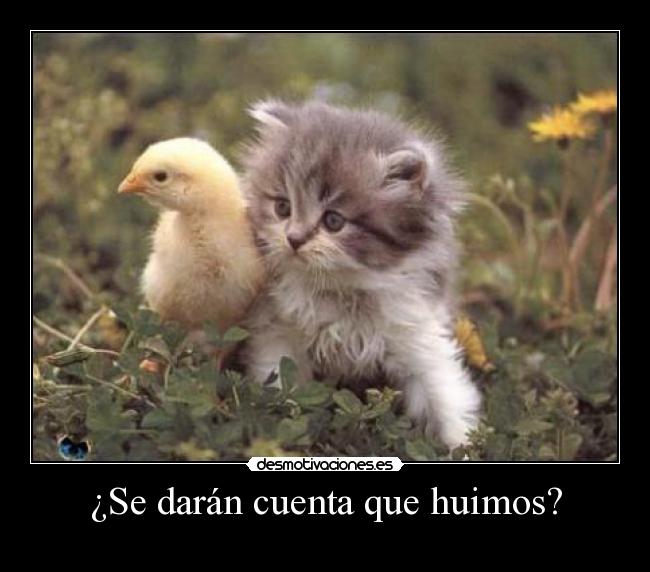 ¿Se darán cuenta que huimos? -