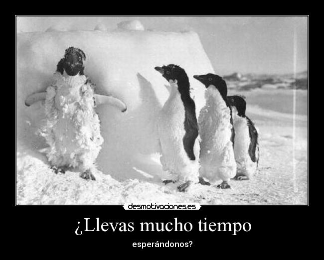 ¿Llevas mucho tiempo - esperándonos?