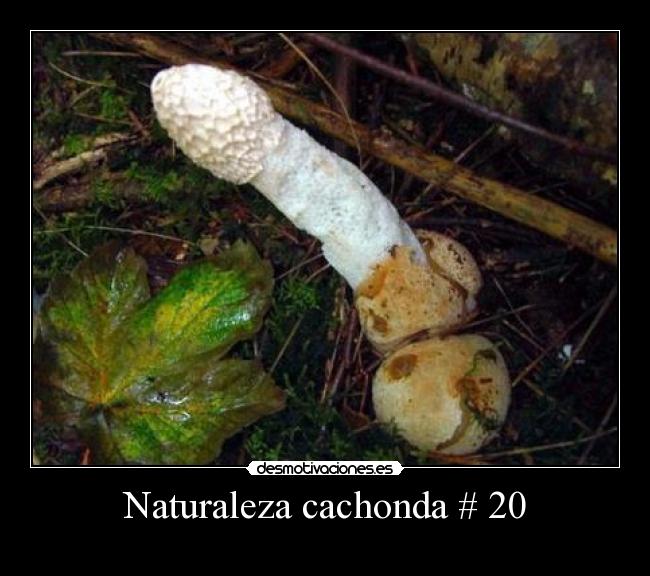 Naturaleza cachonda # 20 -