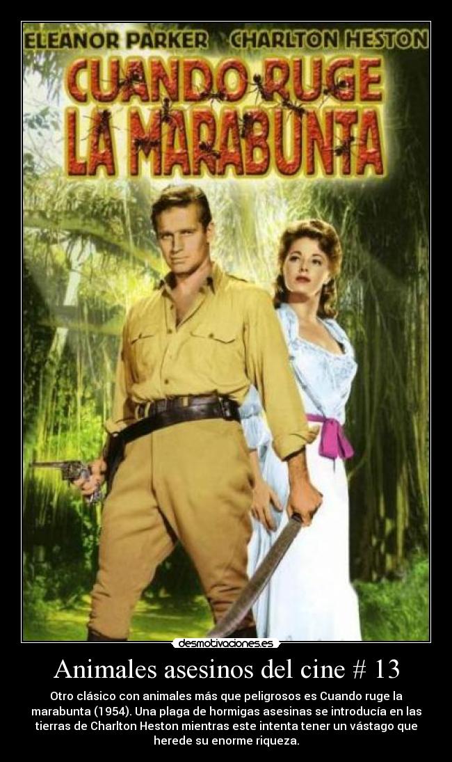 carteles animales cine mju desmotivaciones