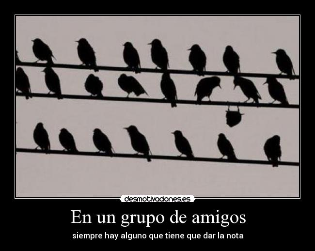 carteles amigos sdfs desmotivaciones