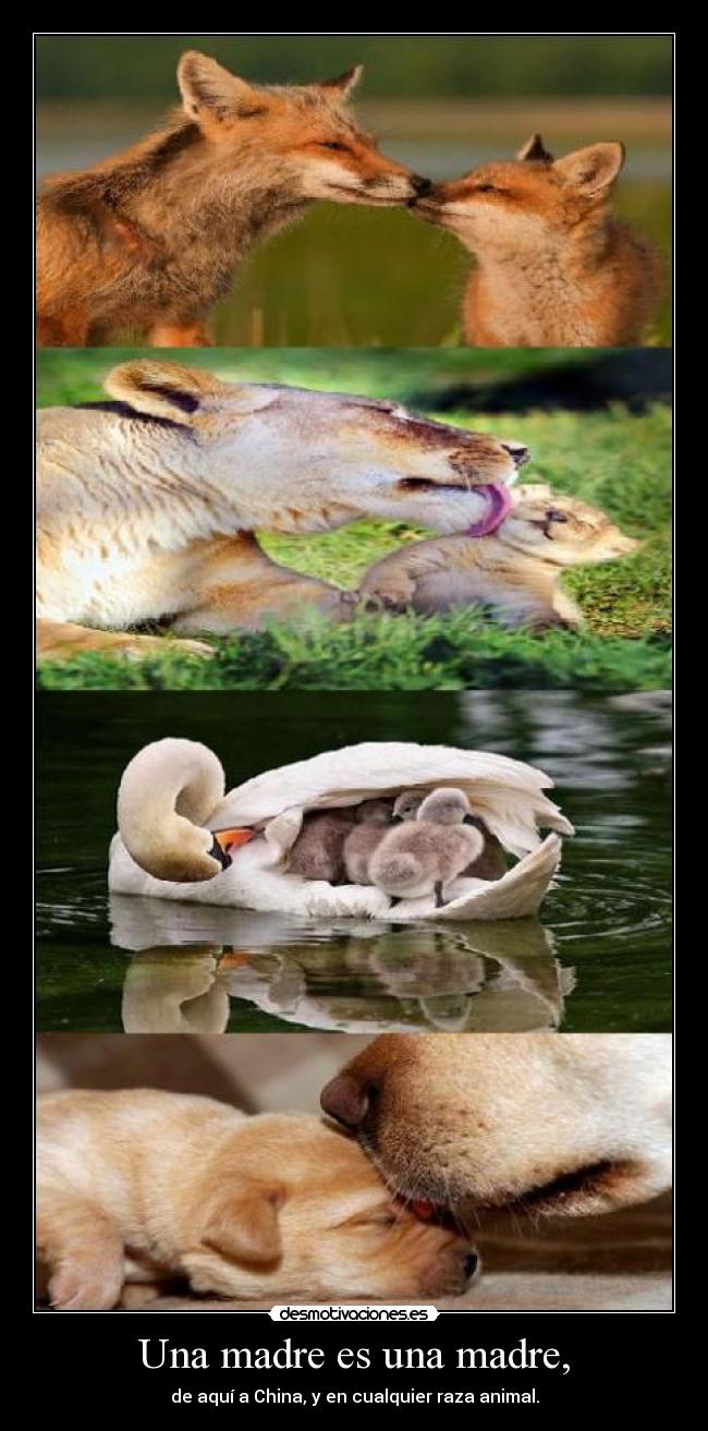 Una madre es una madre, - 