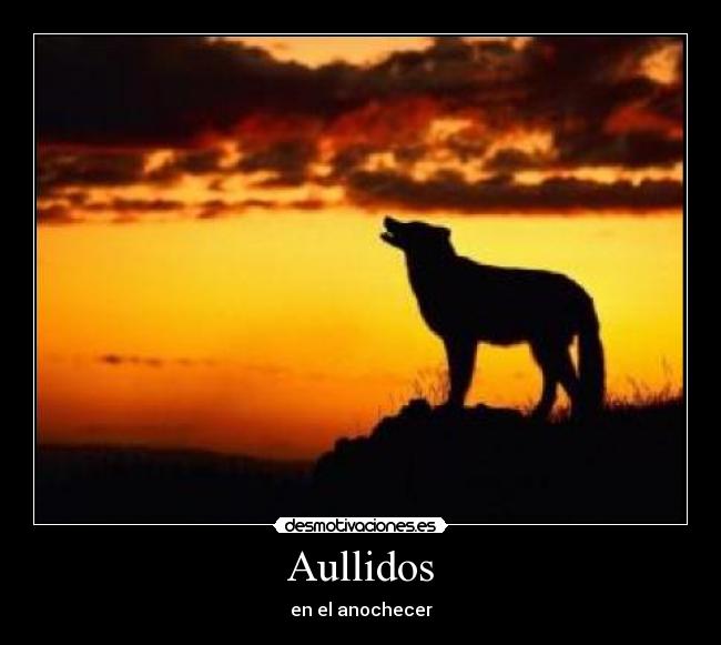 carteles fefeeeweweewewewew desmotivaciones