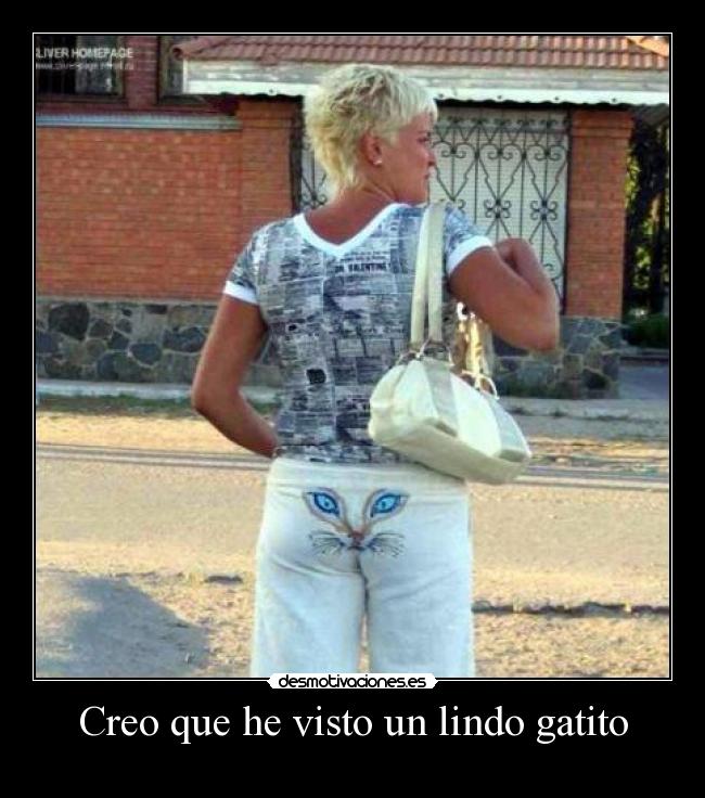 Creo que he visto un lindo gatito -