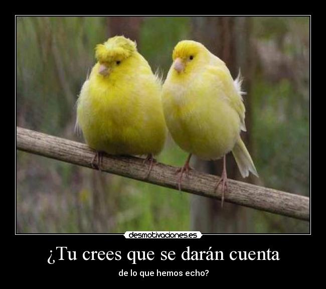¿Tu crees que se darán cuenta - 
