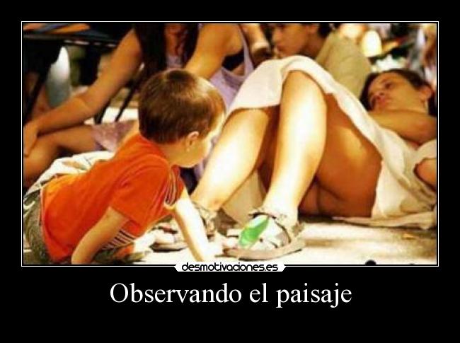 Observando el paisaje - 