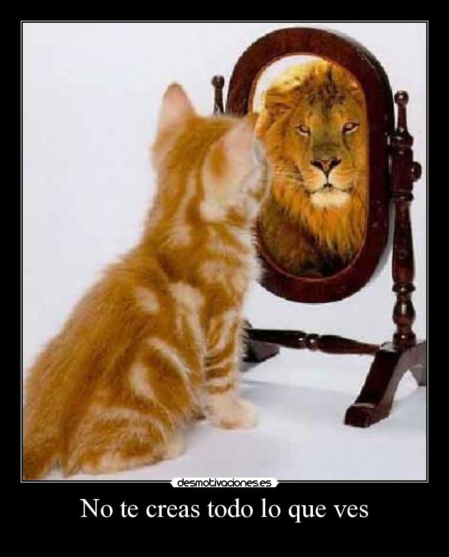 No te creas todo lo que ves - 