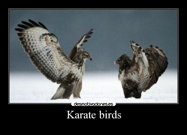 carteles fffef desmotivaciones