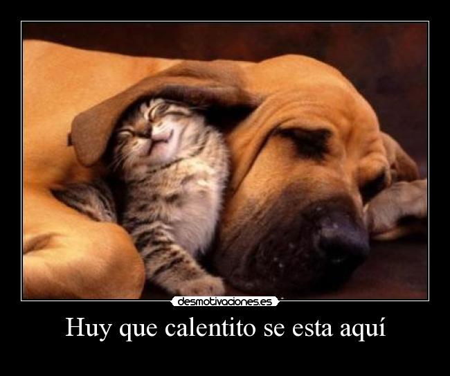 carteles dsdsds desmotivaciones