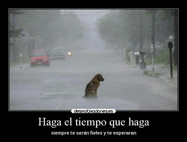 Haga el tiempo que haga - 