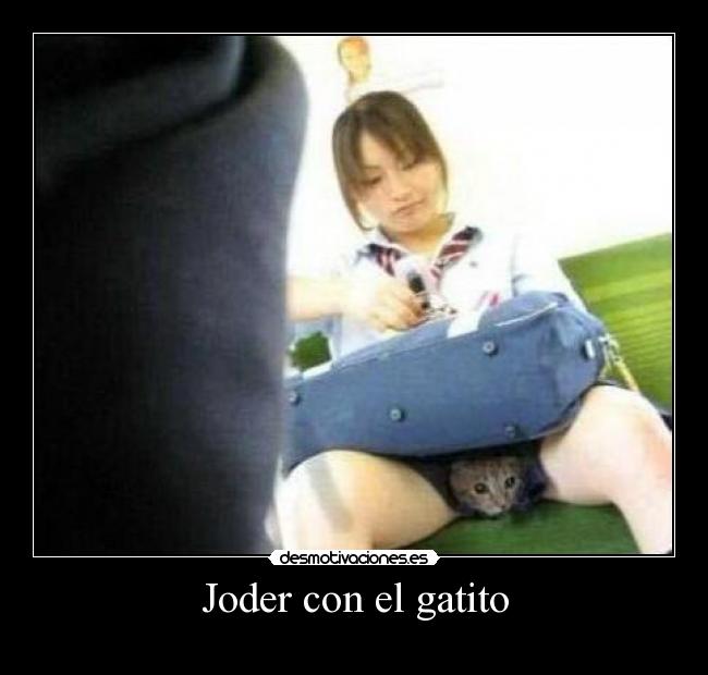 carteles wqef desmotivaciones