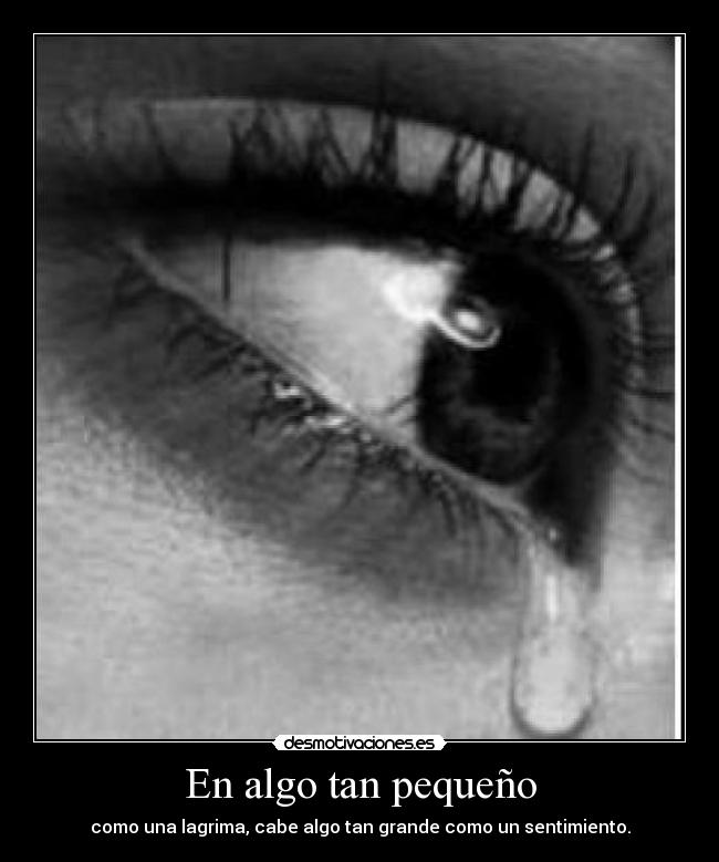 carteles hhbv desmotivaciones