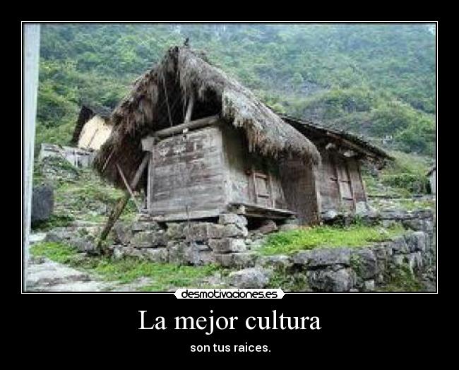 La mejor cultura -