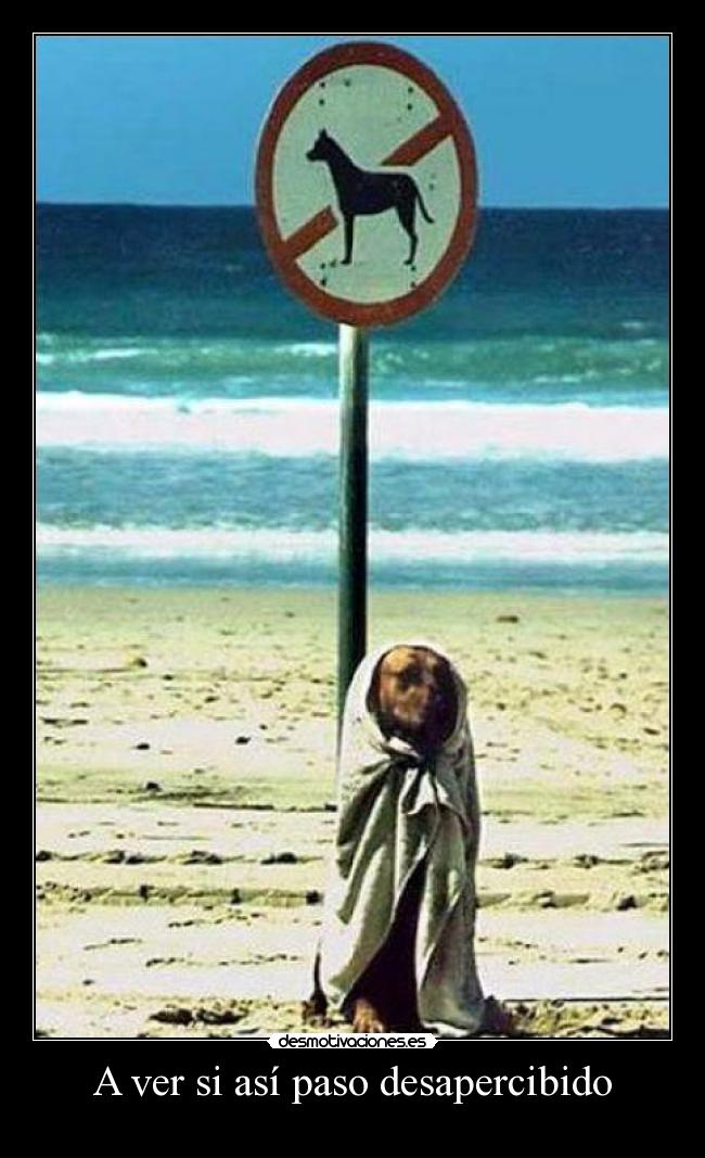 A ver si así paso desapercibido -
