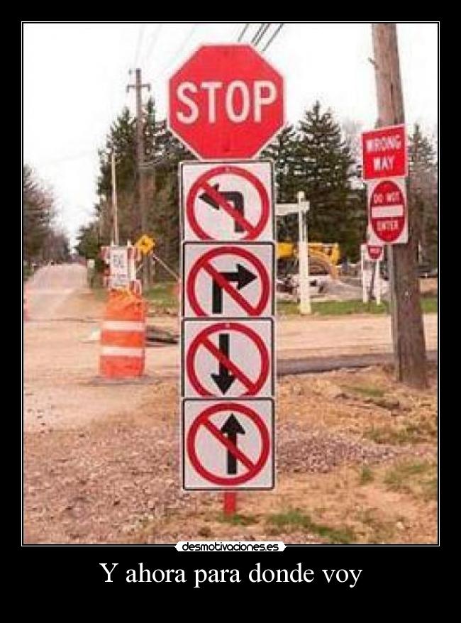 Y ahora para donde voy - 