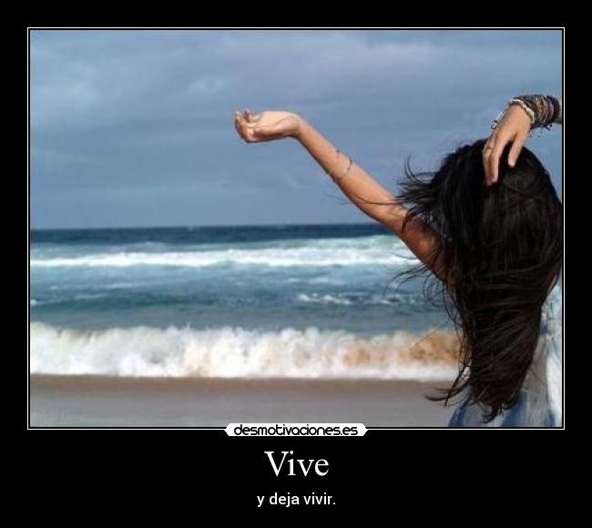 Vive - 