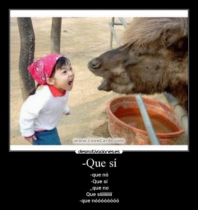 -Que sí -