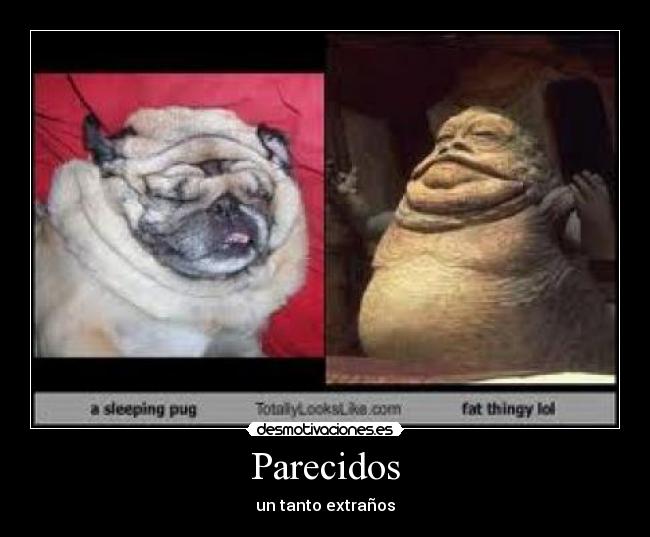 Parecidos - un tanto extraños