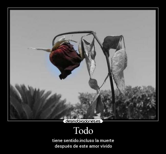 Todo - tiene sentido.incluso la muerte
después de este amor vivido