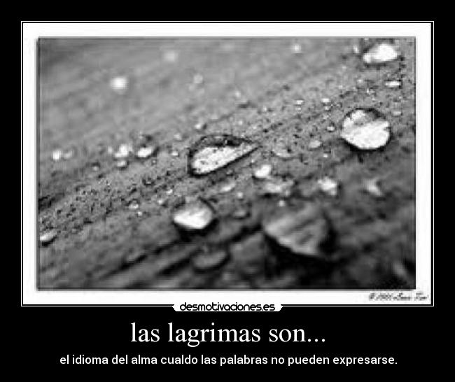 carteles desmotivaciones