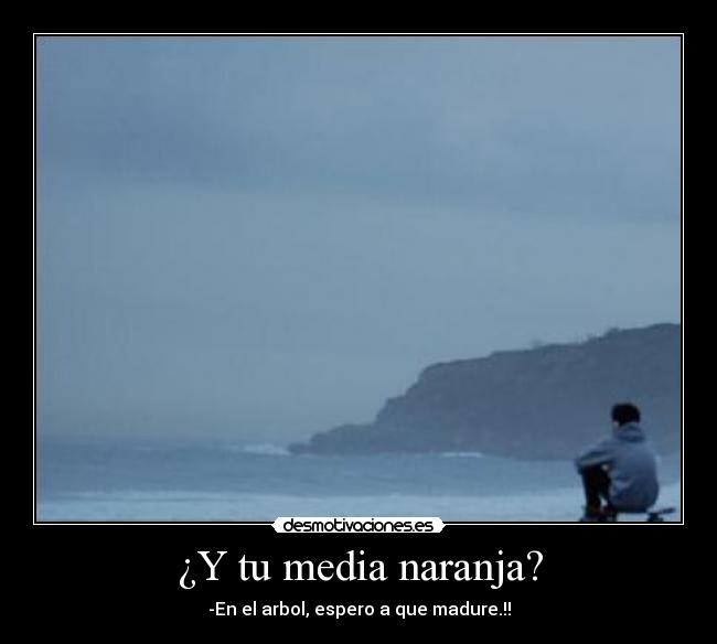 ¿Y tu media naranja? -