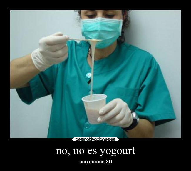 no, no es yogourt -