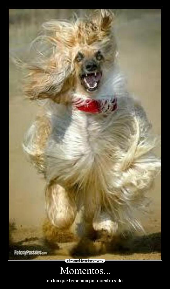 carteles momentos vida desmotivaciones