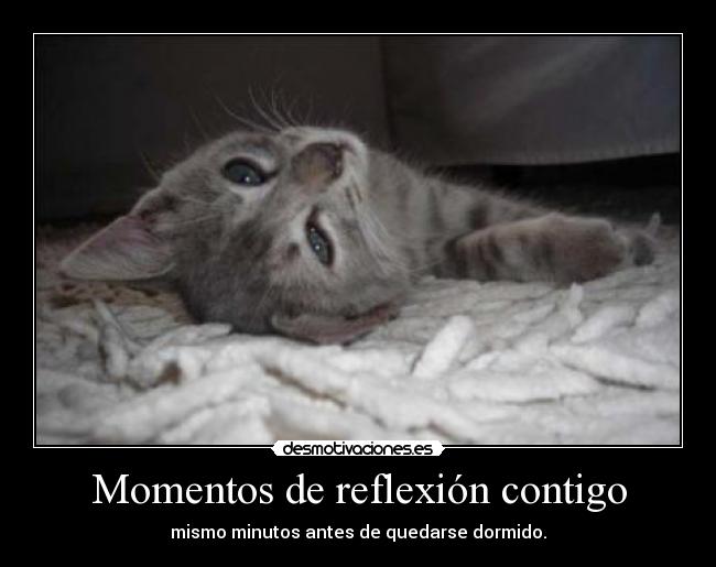 Momentos de reflexión contigo - 