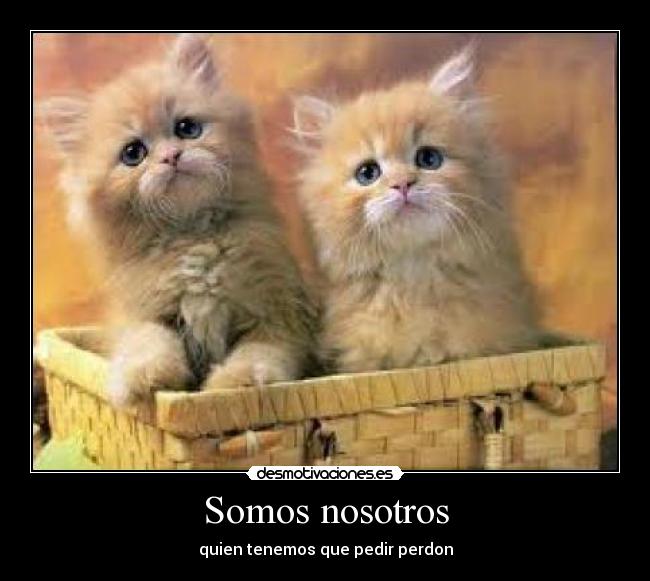 Somos nosotros - quien tenemos que pedir perdon