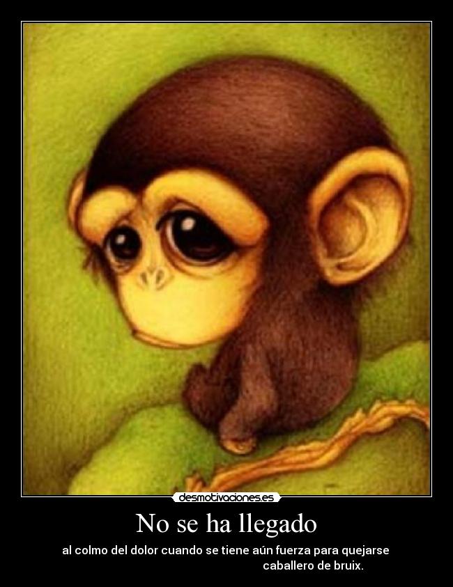 No se ha llegado - al colmo del dolor cuando se tiene aún fuerza para quejarse
caballero de bruix.