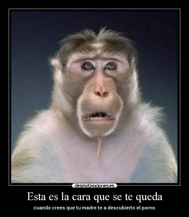 Esta es la cara que se te queda -