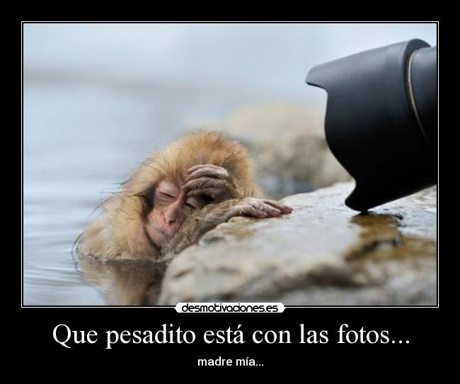 Que pesadito está con las fotos... - madre mía...