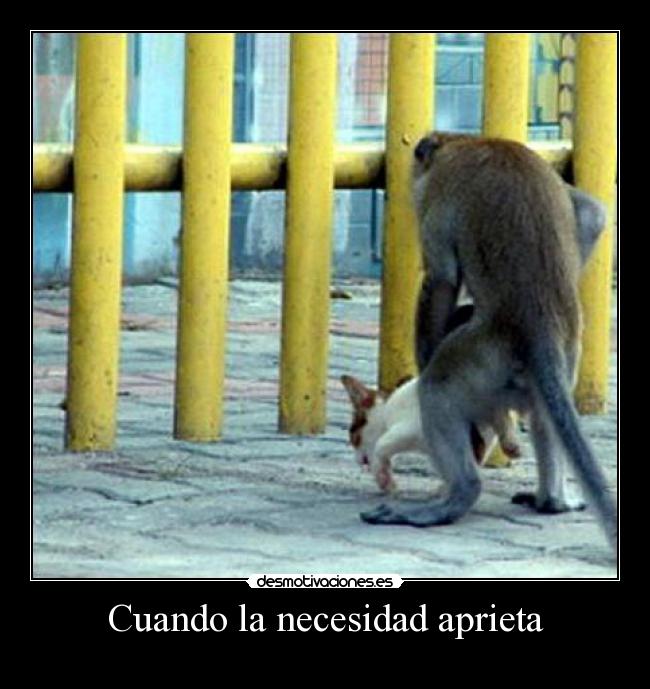 Cuando la necesidad aprieta -