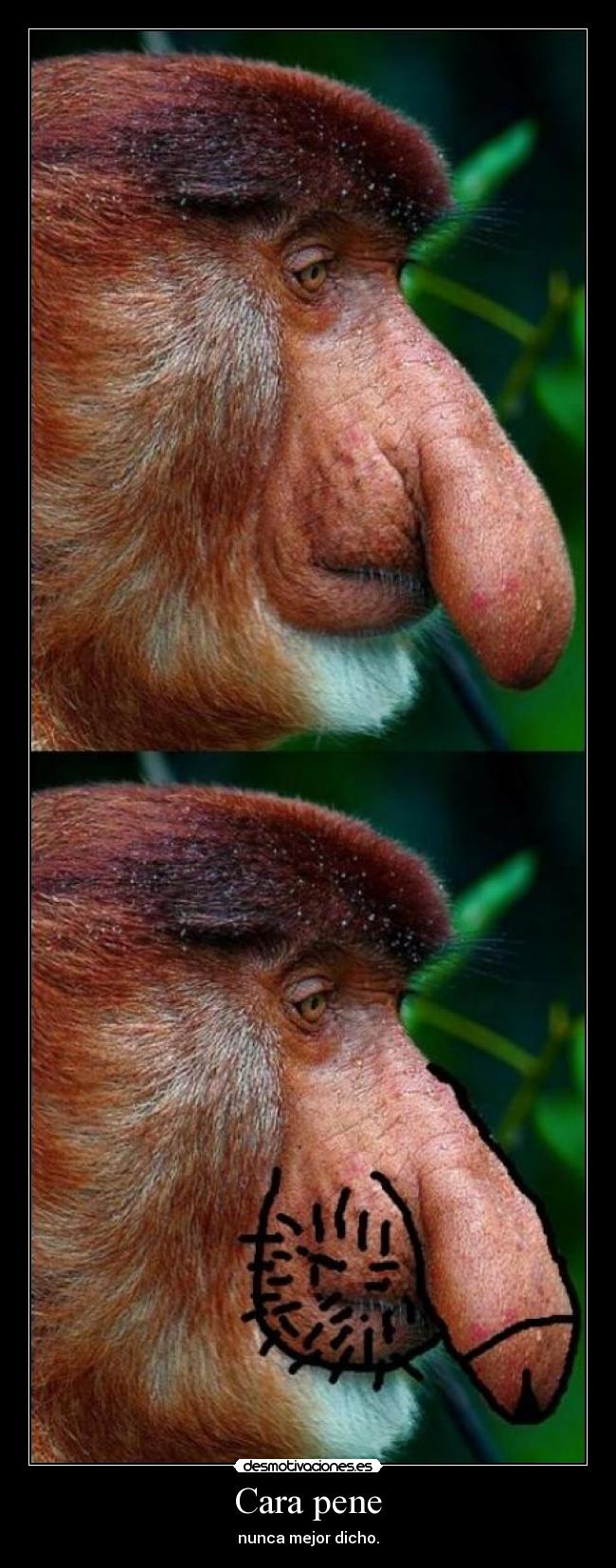 Cara pene - nunca mejor dicho.