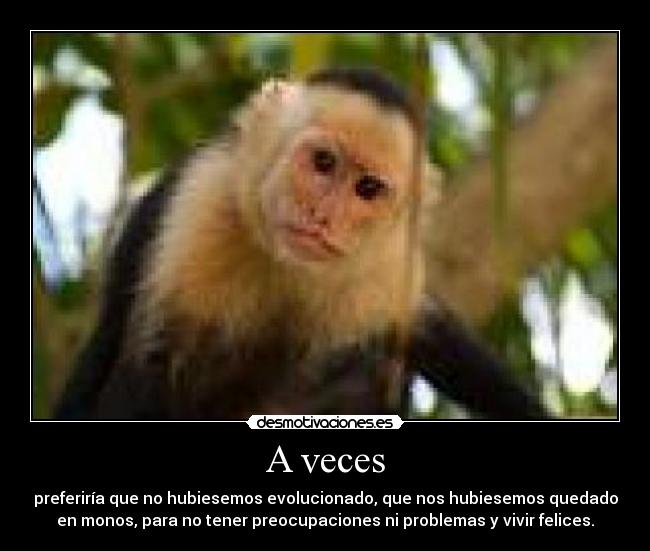 A veces -