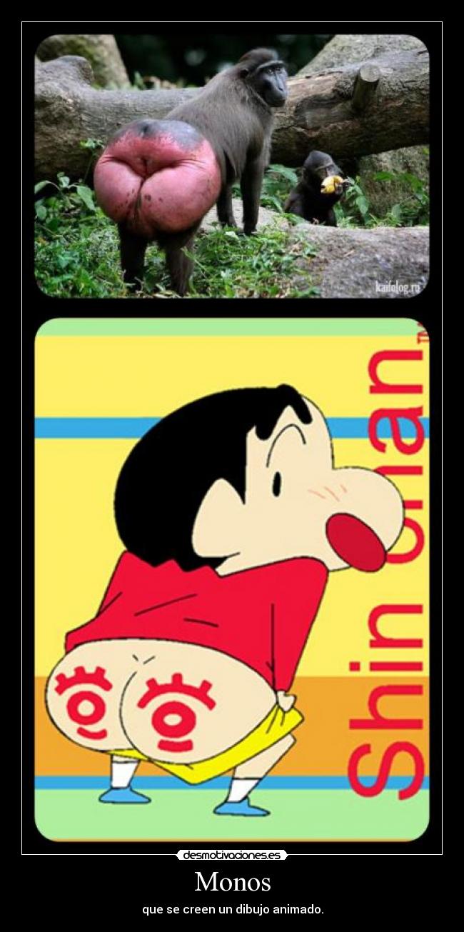 Monos - que se creen un dibujo animado.