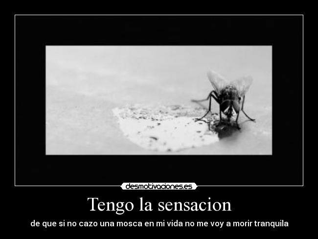 Tengo la sensacion - de que si no cazo una mosca en mi vida no me voy a morir tranquila