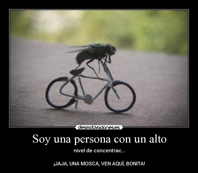 Soy una persona con un alto - nivel de concentrac...
¡JAJA, UNA MOSCA, VEN AQUÍ, BONITA!
