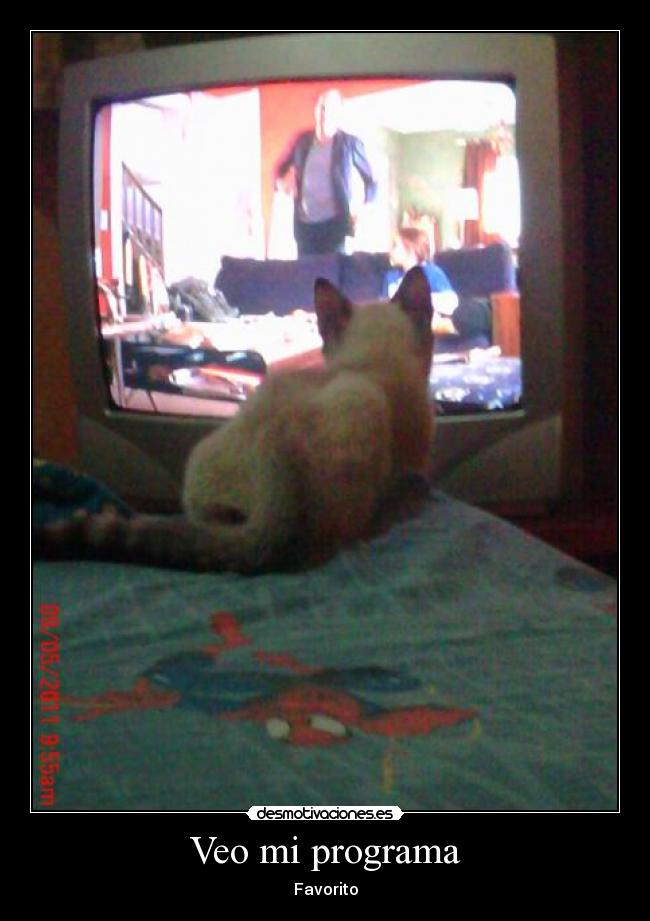 Veo mi programa - Favorito