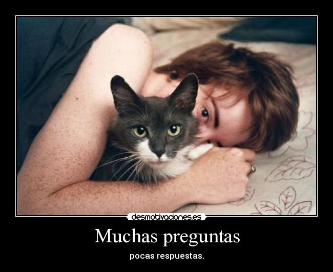Muchas preguntas -