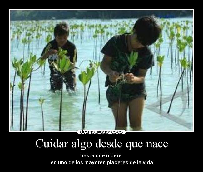 Cuidar algo desde que nace - hasta que muere
es uno de los mayores placeres de la vida
