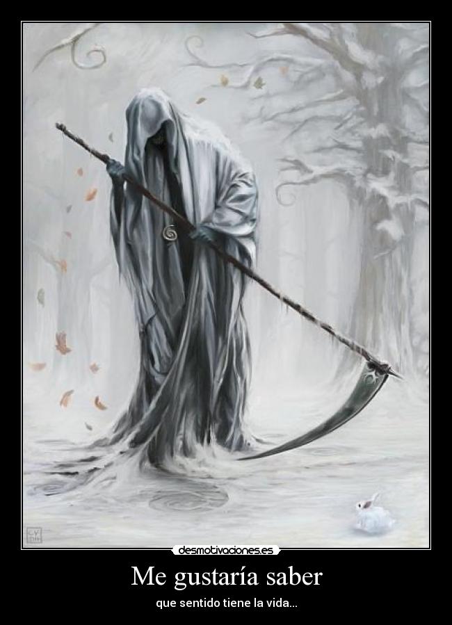 Me gustaría saber - que sentido tiene la vida...