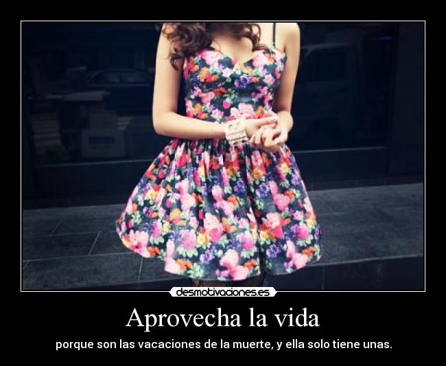 carteles vida muerte vida desmotivaciones