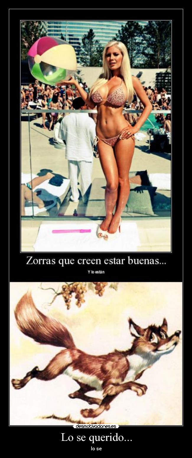 Lo se querido... - lo se